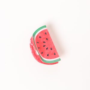 Amina Hair Clip - Watermelon